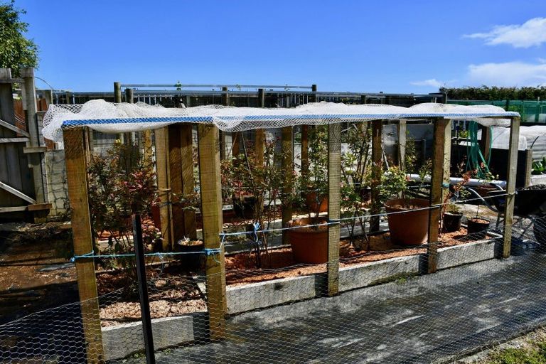 Photo of property in 91a Oparara Road, Karamea, 7893