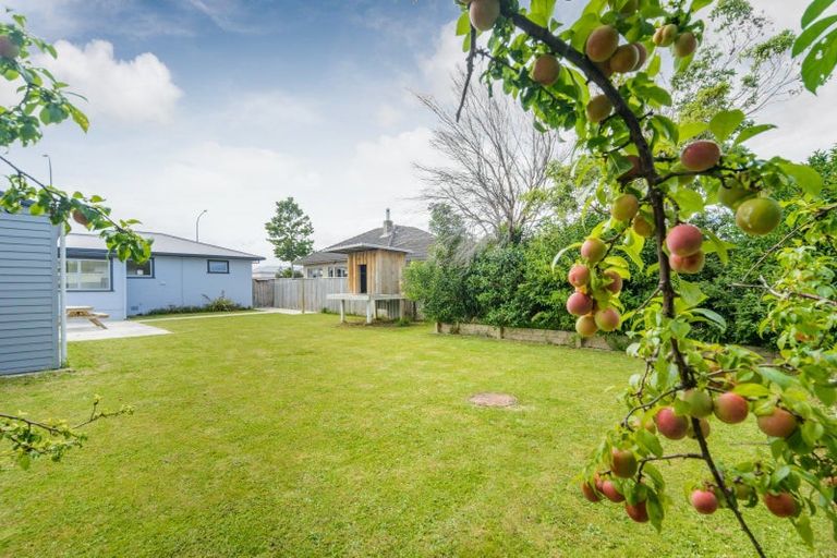 Photo of property in 236 Botanical Road, Takaro, Palmerston North, 4412