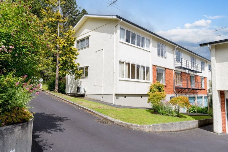 Photo of property in 39 Opoho Road, North East Valley, Dunedin, 9010