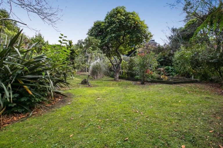 Photo of property in 538 Highgate, Maori Hill, Dunedin, 9010