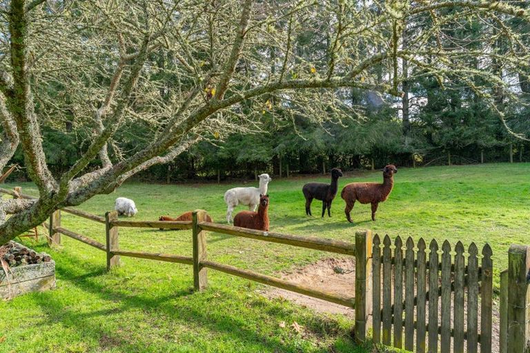 Photo of property in 175 Forest Road, Oruanui, Taupo, 3384