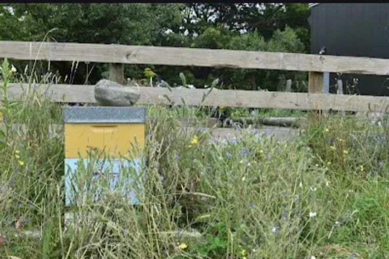 Photo of property in 177 Tapps Road, Canvastown, Havelock, 7178