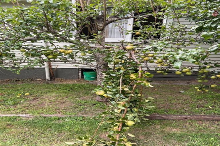 Photo of property in 214 Waitaha Road, Welcome Bay, Tauranga, 3112