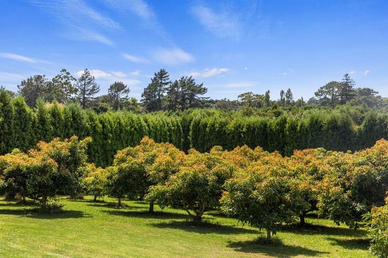 Photo of property in 40 Killen Road, Tahawai, Katikati, 3178