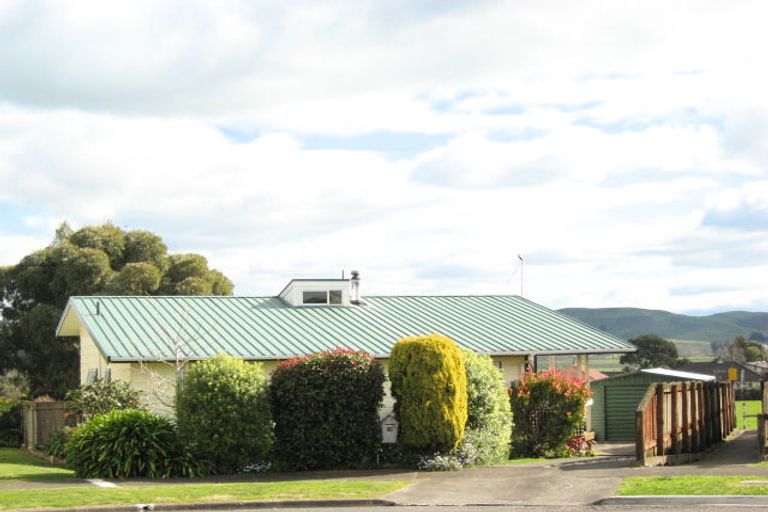 Photo of property in 16 Mount View Place, Waipukurau, 4200