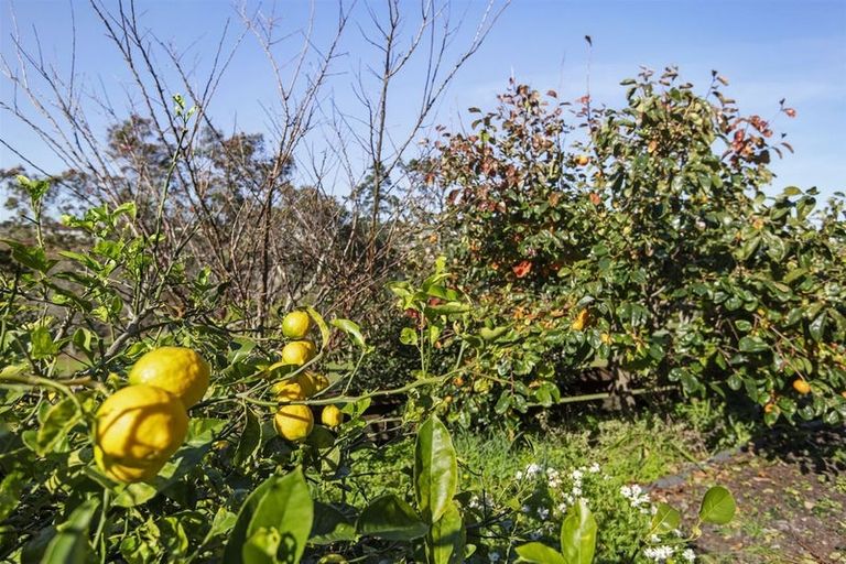 Photo of property in 2/178 Stapleford Crescent, Browns Bay, Auckland, 0630