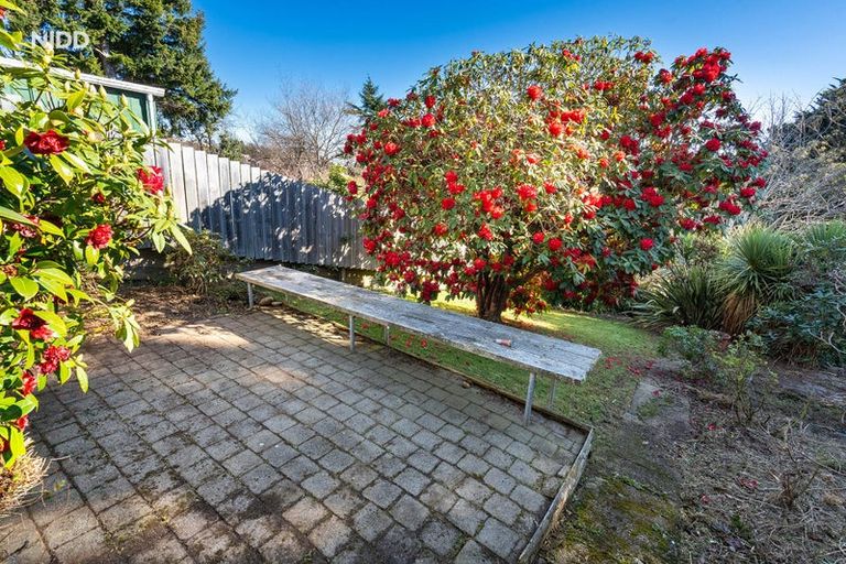 Photo of property in 116 Elgin Road, Kenmure, Dunedin, 9011