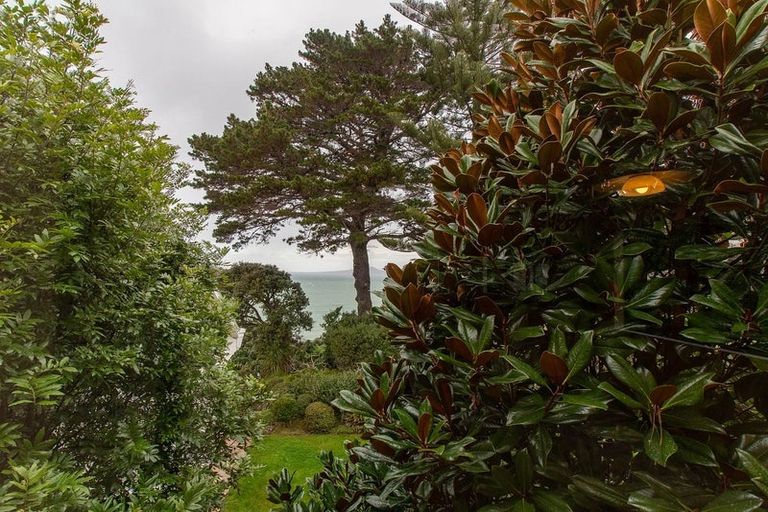 Photo of property in 11 Gray Crescent, Torbay, Auckland, 0630