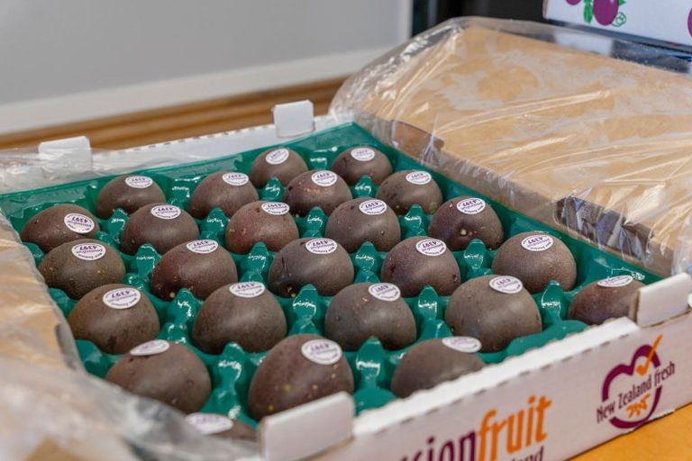 Photo of property in 241 Rea Road, Tahawai, Katikati, 3178