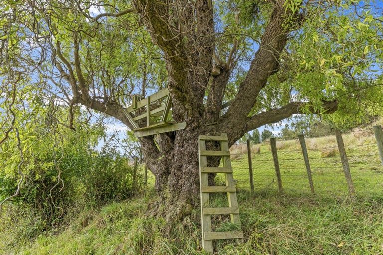 Photo of property in 280 Pukeokahu Road, Taoroa Junction, Taihape, 4793