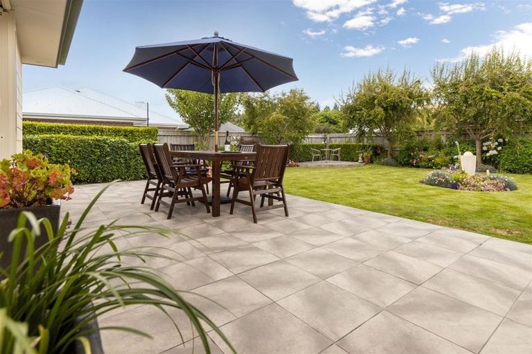 Photo of property in 217 Taylor Pass Road, Witherlea, Blenheim, 7201