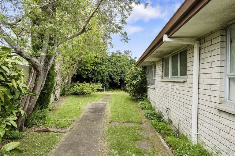 Photo of property in 2a Brookfield Terrace, Brookfield, Tauranga, 3110