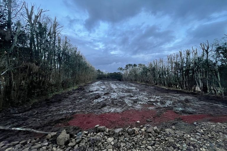 Photo of property in 168 Hamlin Road, Ardmore, Papakura, 2582