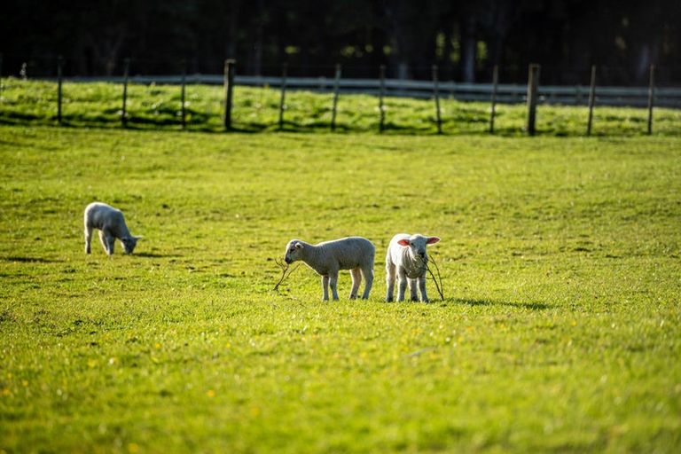 Photo of property in 361 Waitoki Road, Waitoki, Kaukapakapa, 0871