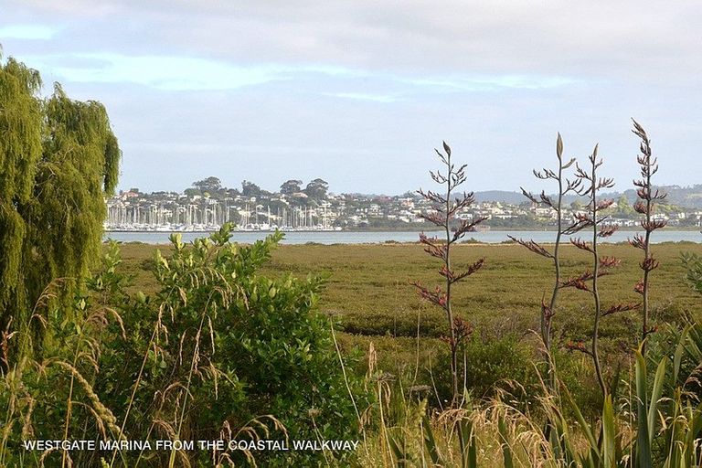 Photo of property in 38a Rewarewa Road, Te Atatu Peninsula, Auckland, 0610