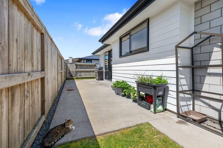 Photo of property in 14 Hinaki Street, Poike, Tauranga, 3112