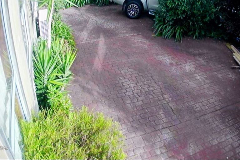 Photo of property in 113 Winara Avenue, Waikanae, 5036