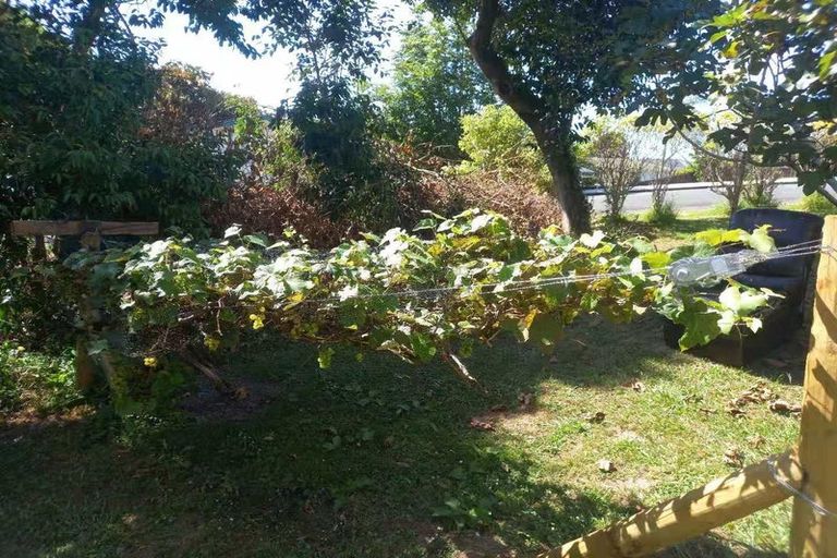 Photo of property in 3 Hazelmere Street, Wellsford, 0900