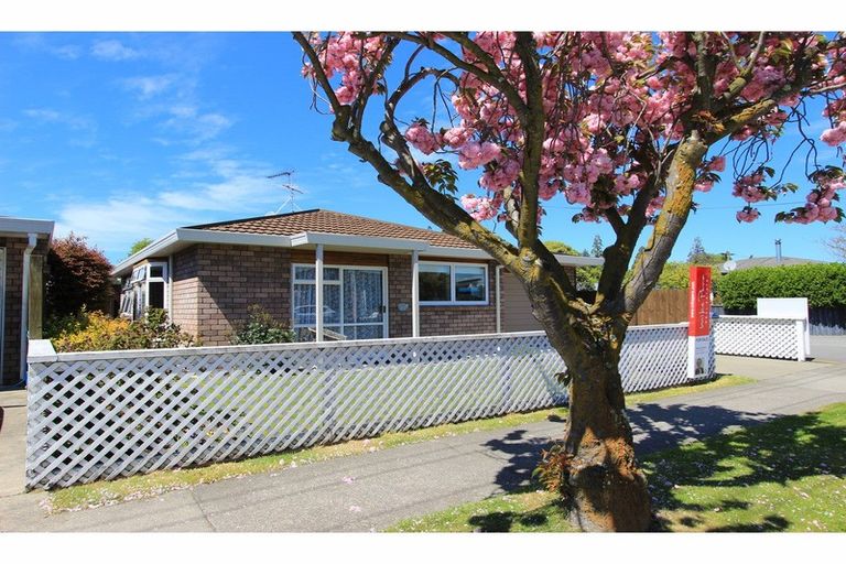 Photo of property in 46a Mclauchlan Street, Springlands, Blenheim, 7201