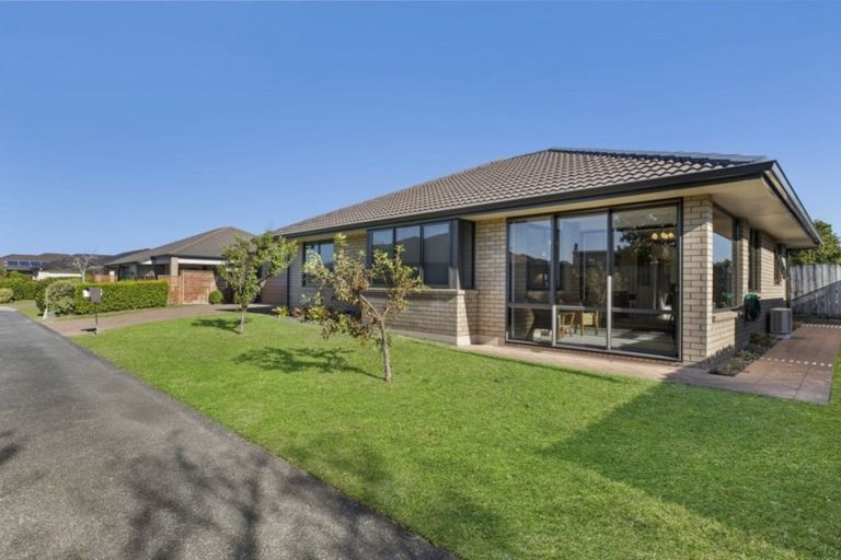 Photo of property in 19 Cresta Drive, Katikati, 3129