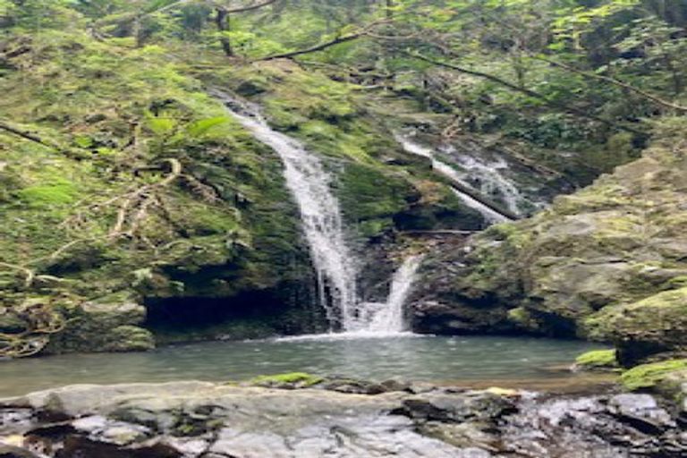 Photo of property in 99 Franklin Road, Parua Bay, Onerahi, 0192