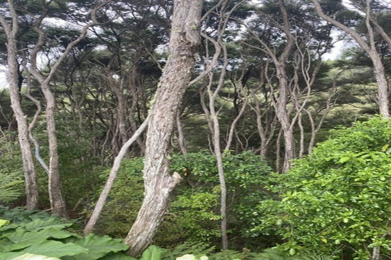 Photo of property in 341 Upper Harbour Drive, Greenhithe, Auckland, 0632