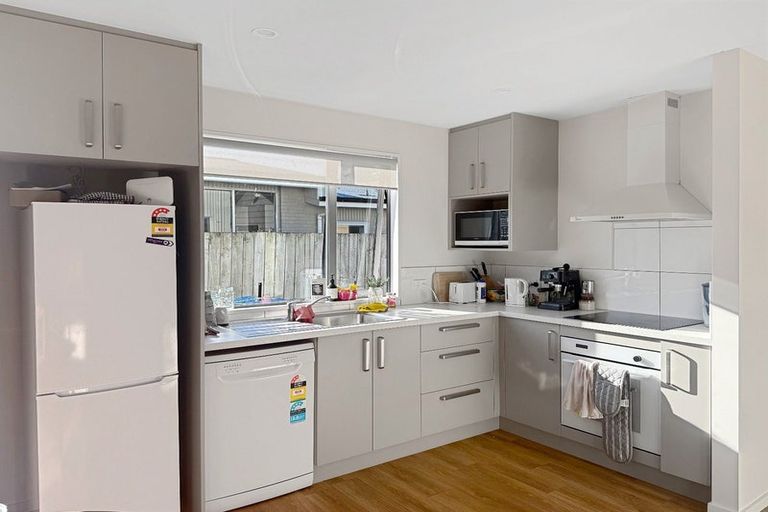 Photo of property in 10a Douglas Street, Levin, 5510