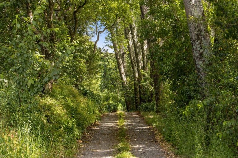 Photo of property in 95c Wright Road, Aongatete, Katikati, 3181