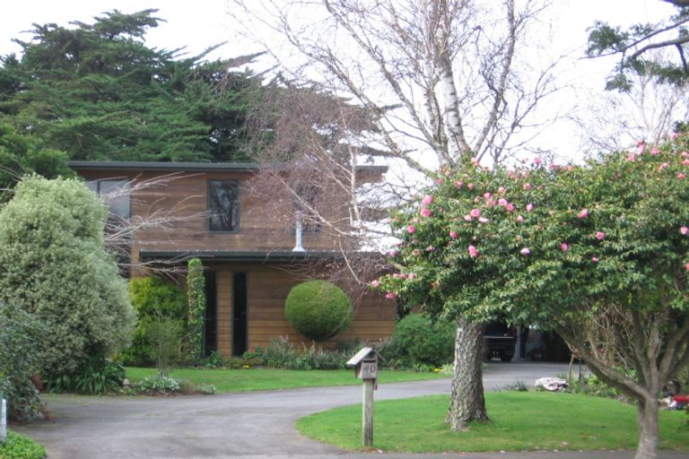 Photo of property in 40 Heatley Avenue, Hokowhitu, Palmerston North, 4410