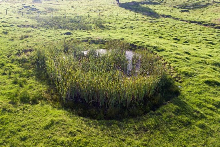 Photo of property in 45 Churton Road, Kaingaroa, Kaitaia, 0482