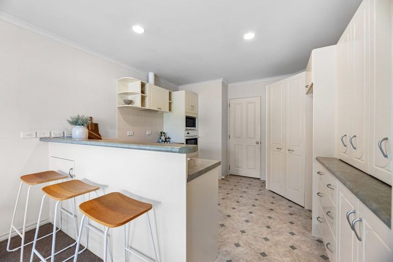 Photo of property in 21 Francevic Avenue, Mount Maunganui, 3116