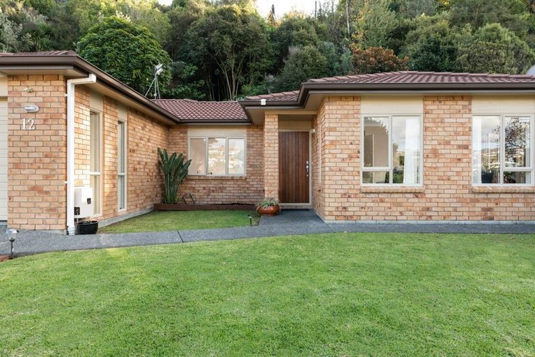Photo of property in 12 Kanuka Place, Pyes Pa, Tauranga, 3112