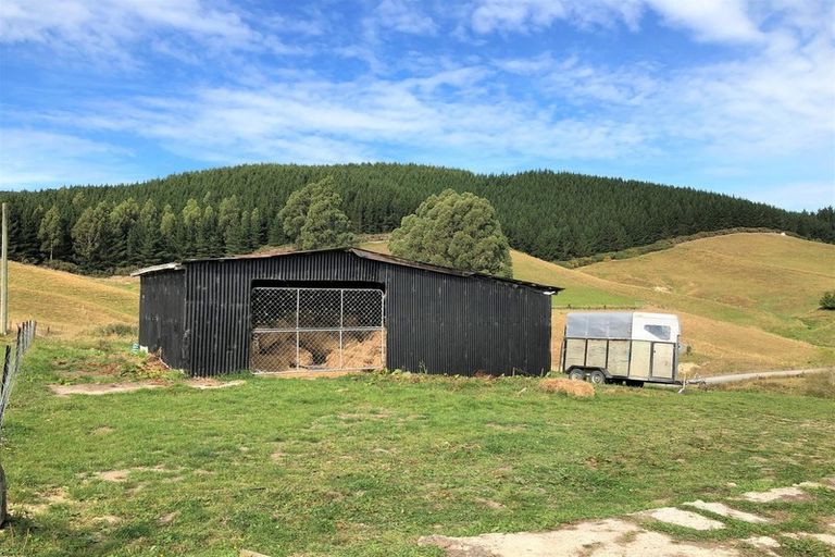 Photo of property in 54 Nore Street, Waihola, Milton, 9073