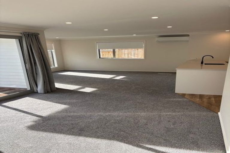 Photo of property in 115a Limbrick Street, Terrace End, Palmerston North, 4410