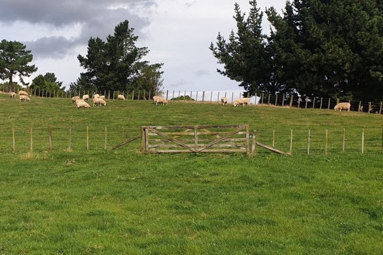 Photo of property in 42a Forest Hill Road, Aokautere, Palmerston North, 4471