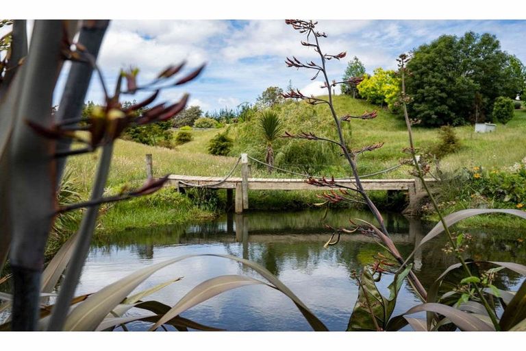 Photo of property in 223c Ness Road, Waipapa, Kerikeri, 0295