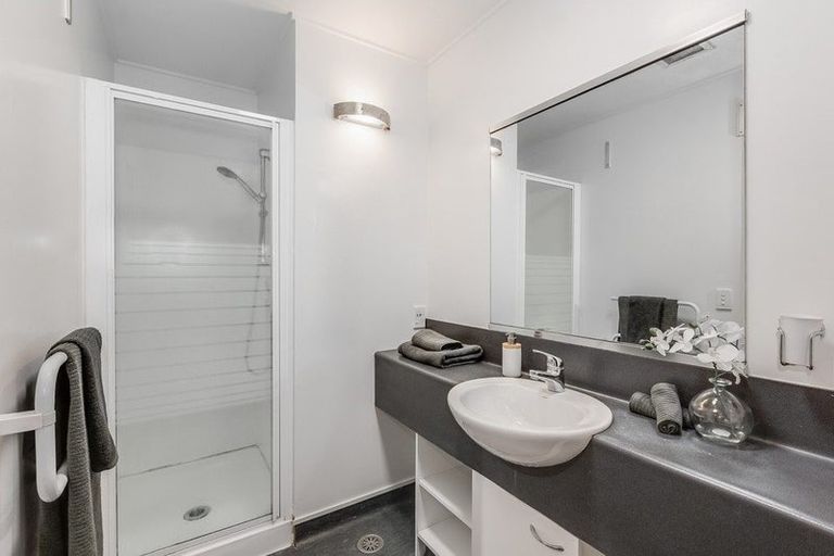 Photo of property in Dixonlane Apartments, 5/7 Feltex Lane, Te Aro, Wellington, 6011