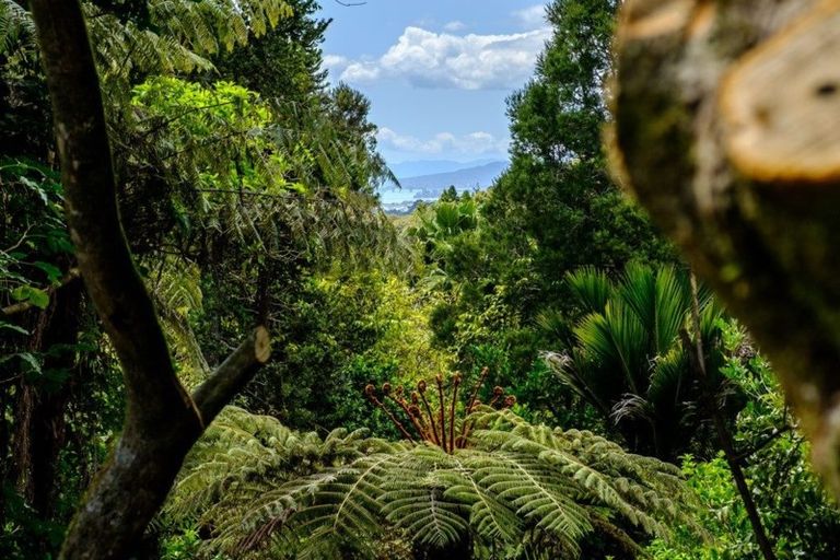 Photo of property in 118 Opanuku Road, Henderson Valley, Auckland, 0612