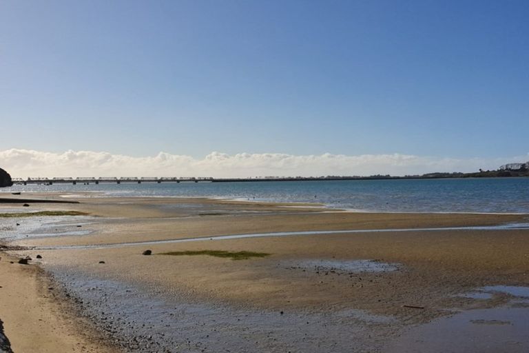 Photo of property in 4/36 Seventh Avenue, Tauranga, 3110