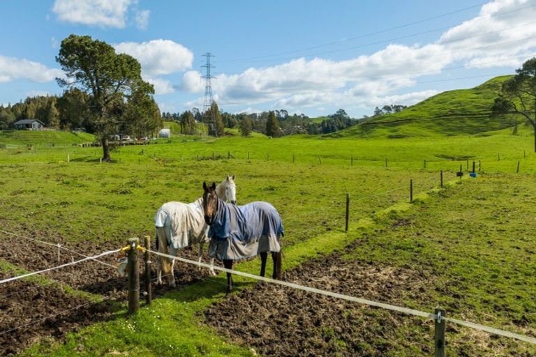 Photo of property in 259 Mcphail Road, Oropi, Tauranga, 3173