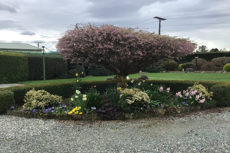 Photo of property in 50 Wylam Street, Waikaia, 9778