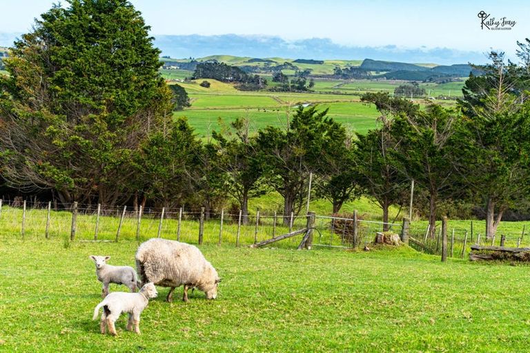 Photo of property in 171 Opanake Road, Parore, Dargaville, 0372
