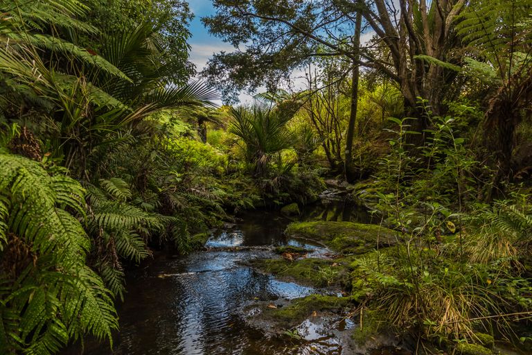 Photo of property in 233 Ahuroa Valley Road, Makarau, Warkworth, 0981