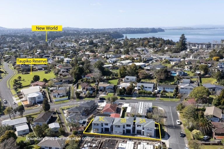 Photo of property in 3a Pendlebury Street, Green Bay, Auckland, 0604