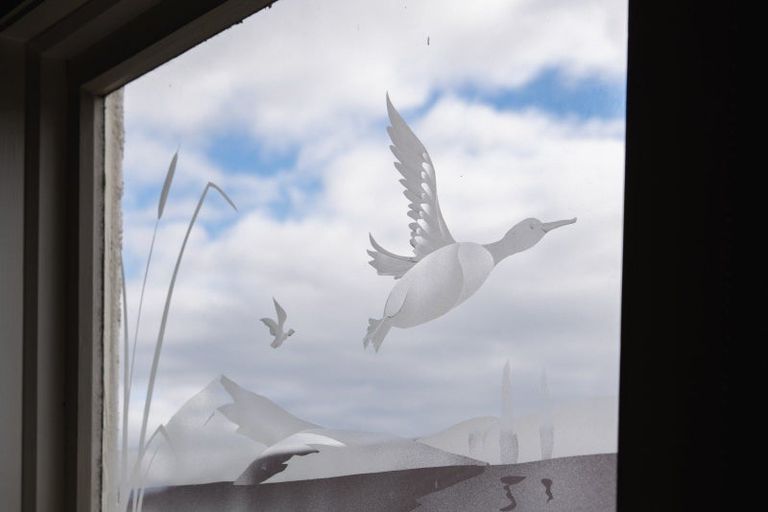 Photo of property in 7 Victoria Street, Mosgiel, 9024