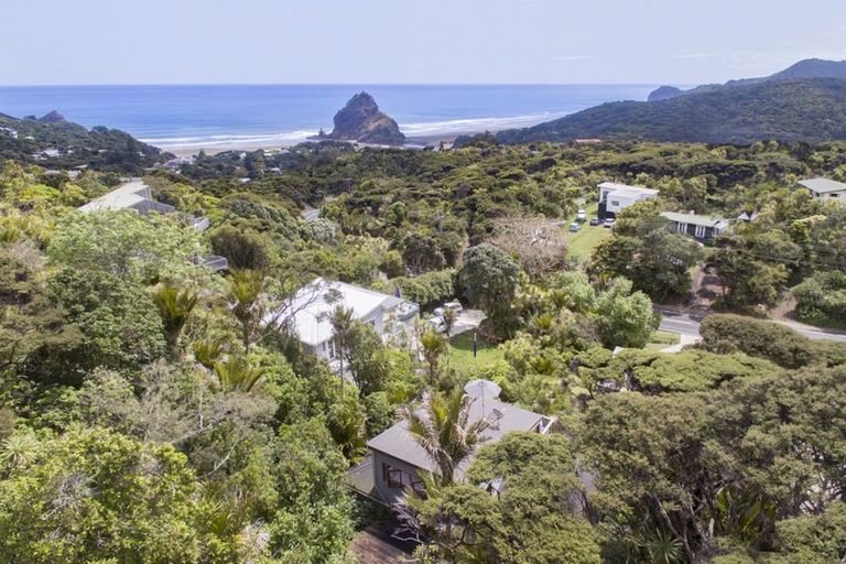 Photo of property in 7 Piha Road, Piha, 0772