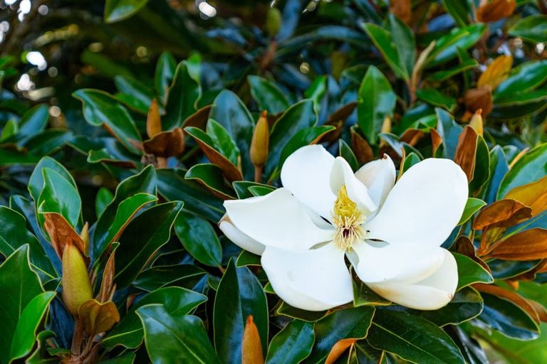 Photo of property in 10 Ti Tree Place, Mangawhai Heads, Mangawhai, 0505