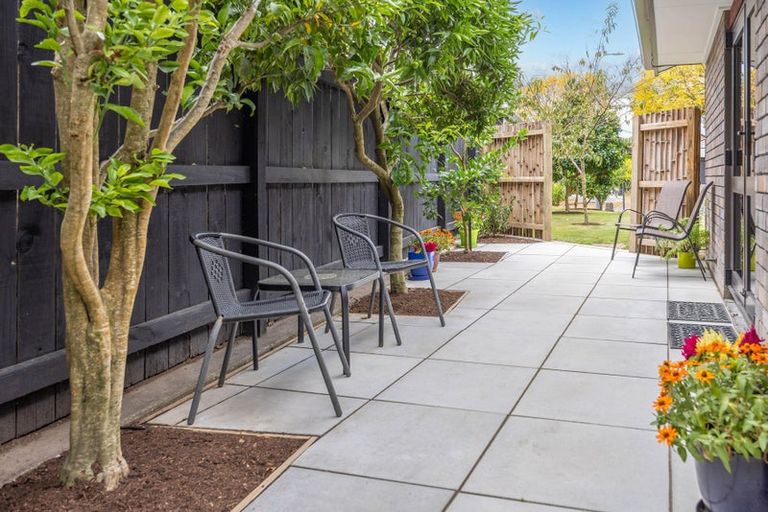 Photo of property in 19 Azimuth Place, Flagstaff, Hamilton, 3210