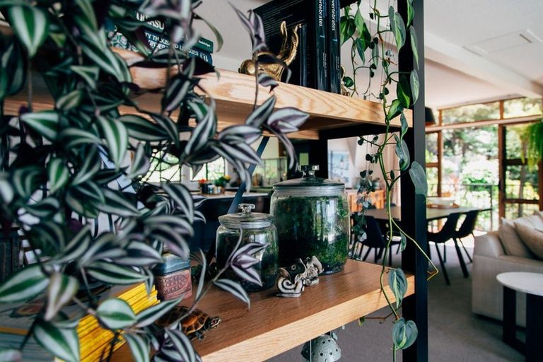 Photo of property in 12 Moana Avenue, Paihia, 0200