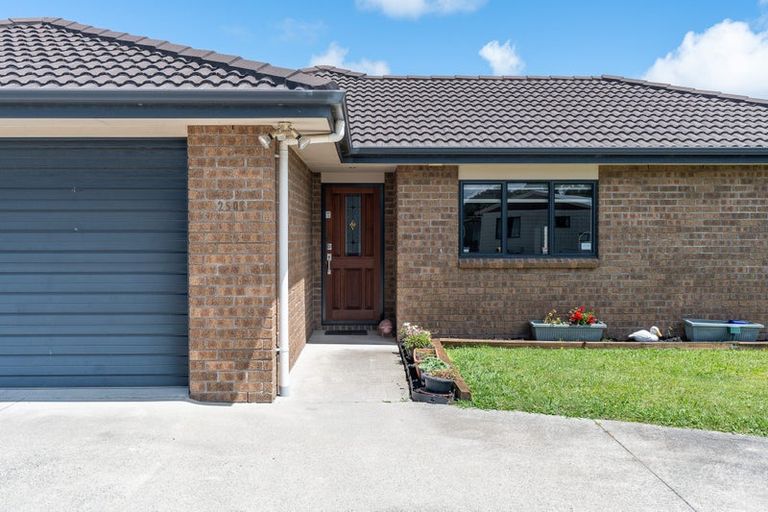 Photo of property in 250c Mangapiko Street, Te Awamutu, 3800